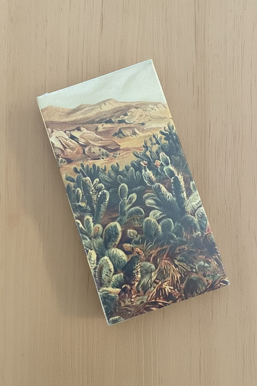 Match Box- Cactus — view 3