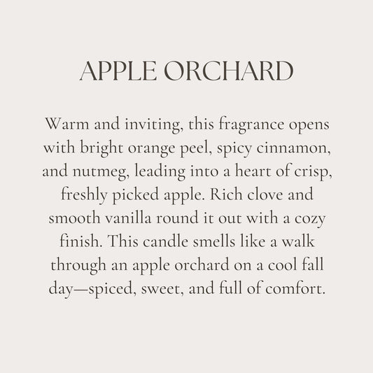 Apple orchard clean burning coconut apricot wax candle by rooted candle co