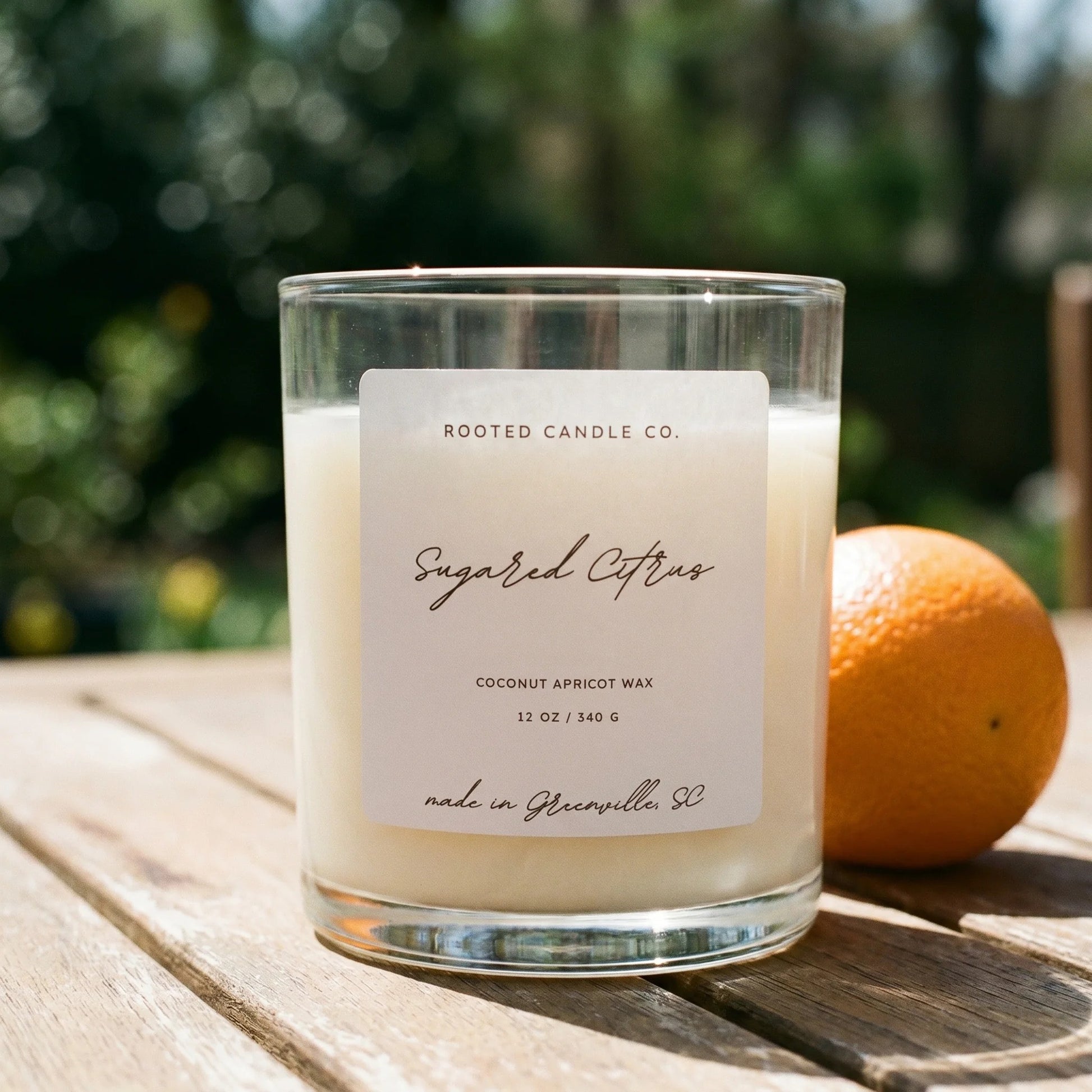 Sugared Citrus Double Wick candle